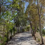 Skali Retreat